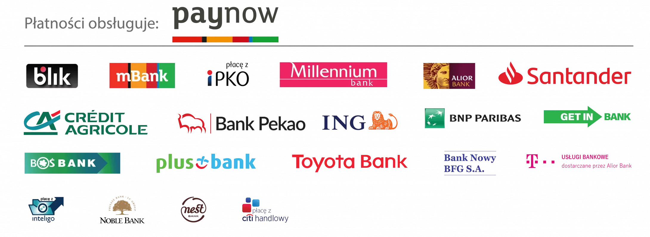 paynow-flaga-scaled-1